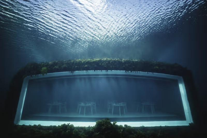 fot. fot. studio Sn? hetta