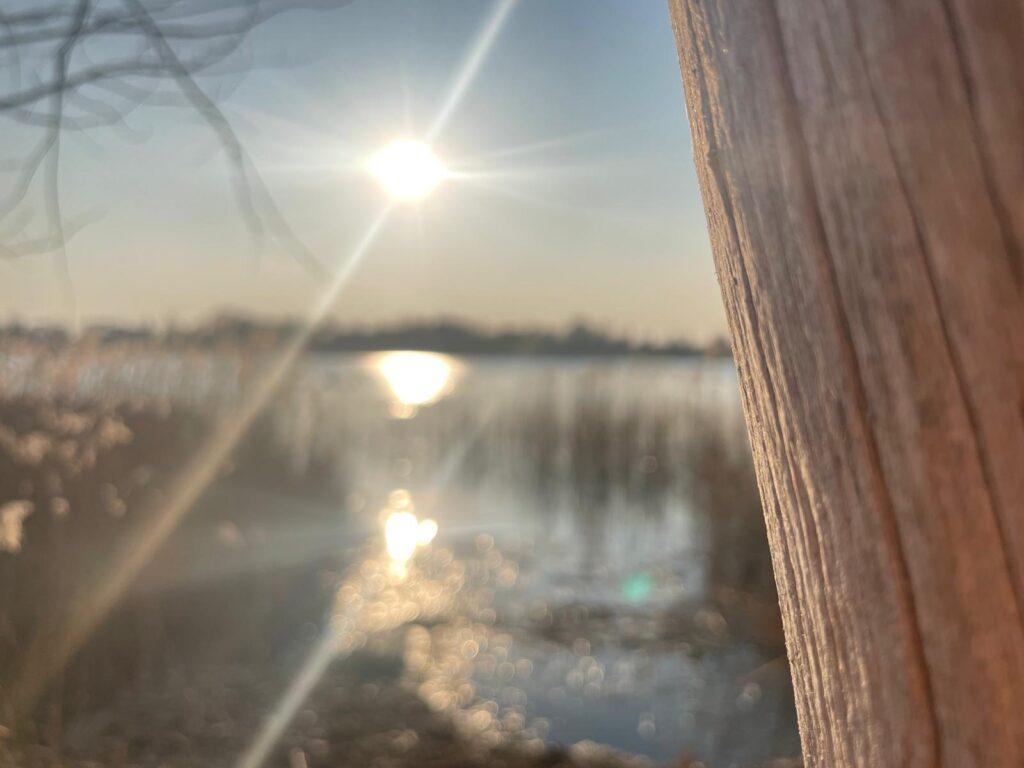 Jezioro Dymaczewskie marzec 2025 r. Fot. Grzegorz Walijewski | IMGW-PIB