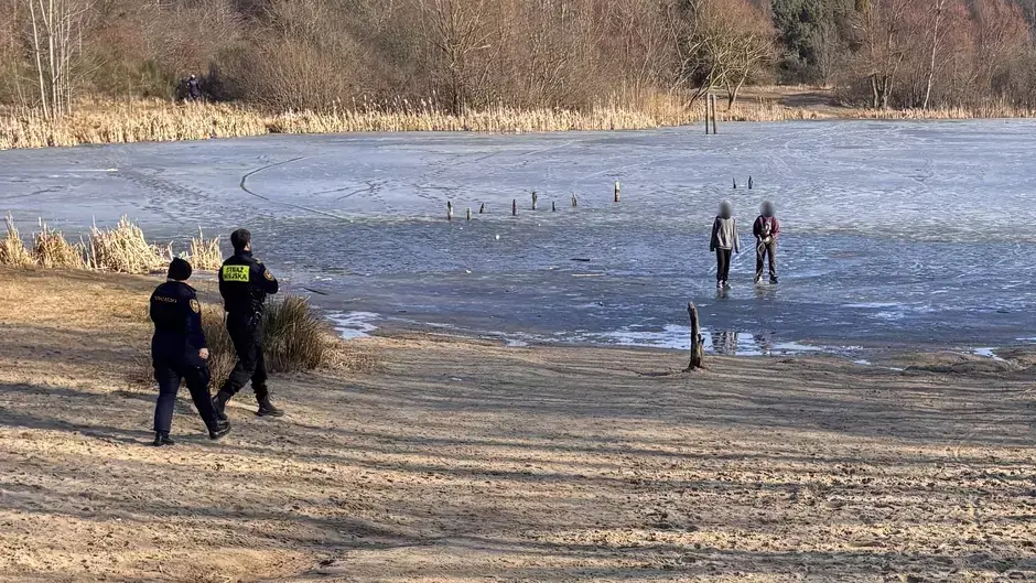 fot. Straż Miejska w Gdańsku