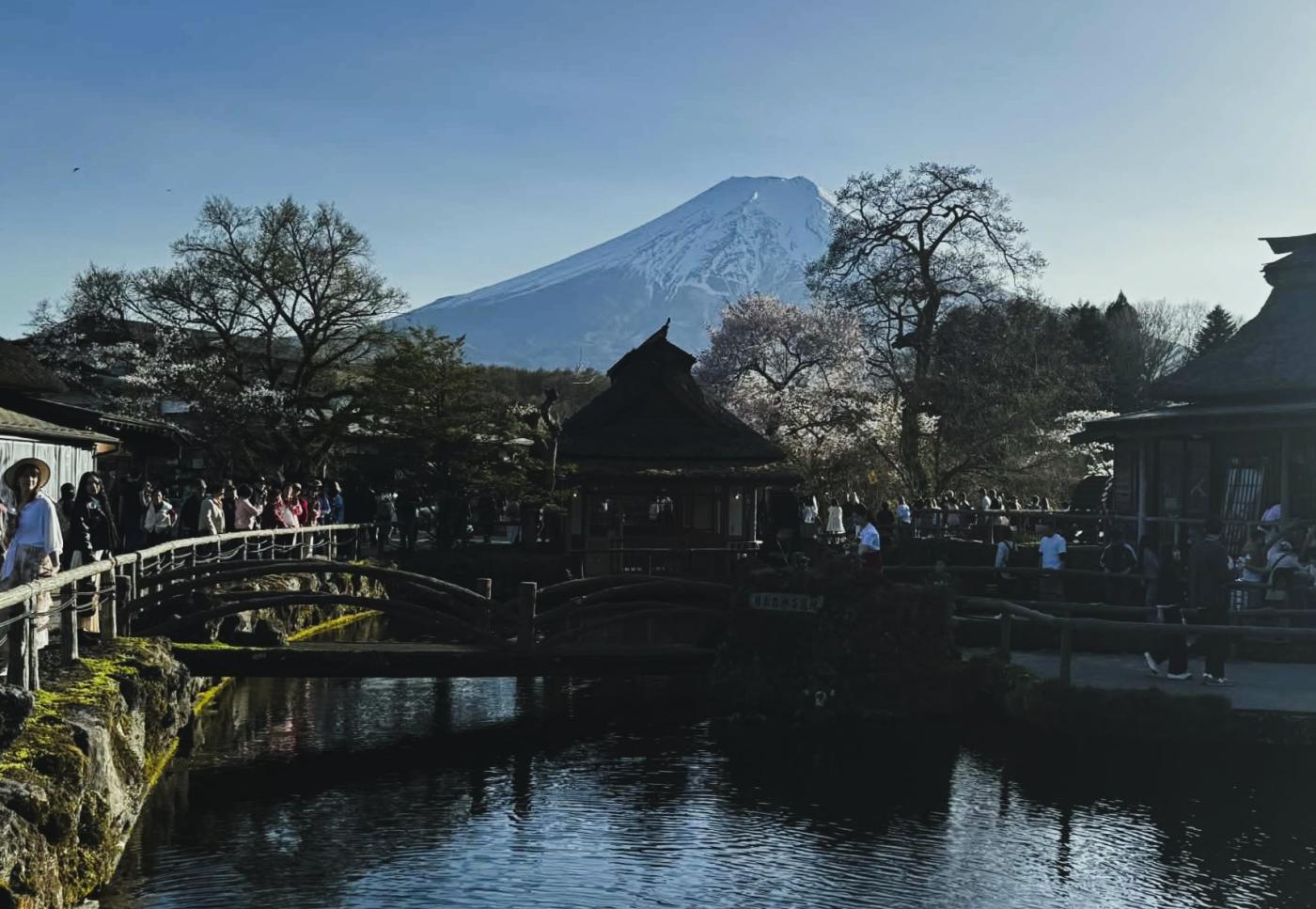 fot. Sylwia Wiśniewska