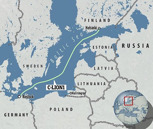 fot. dailymail.co.uk