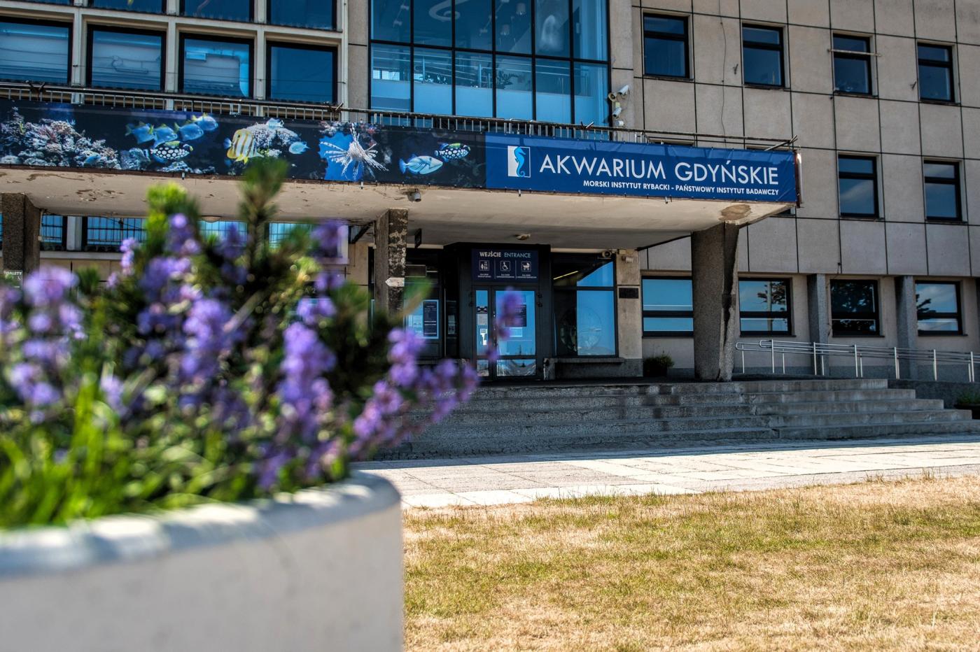 fot. Akwarium Gdyńskie