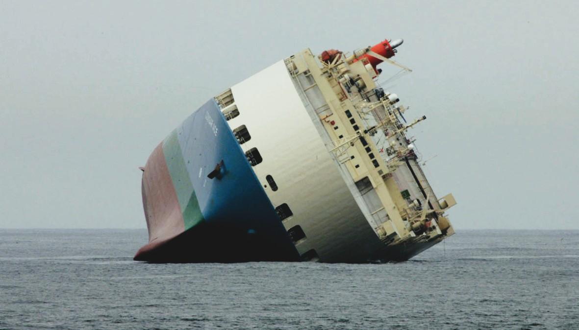 fot. Kevin Bell US Fish Wildlife Service / Wikimedia