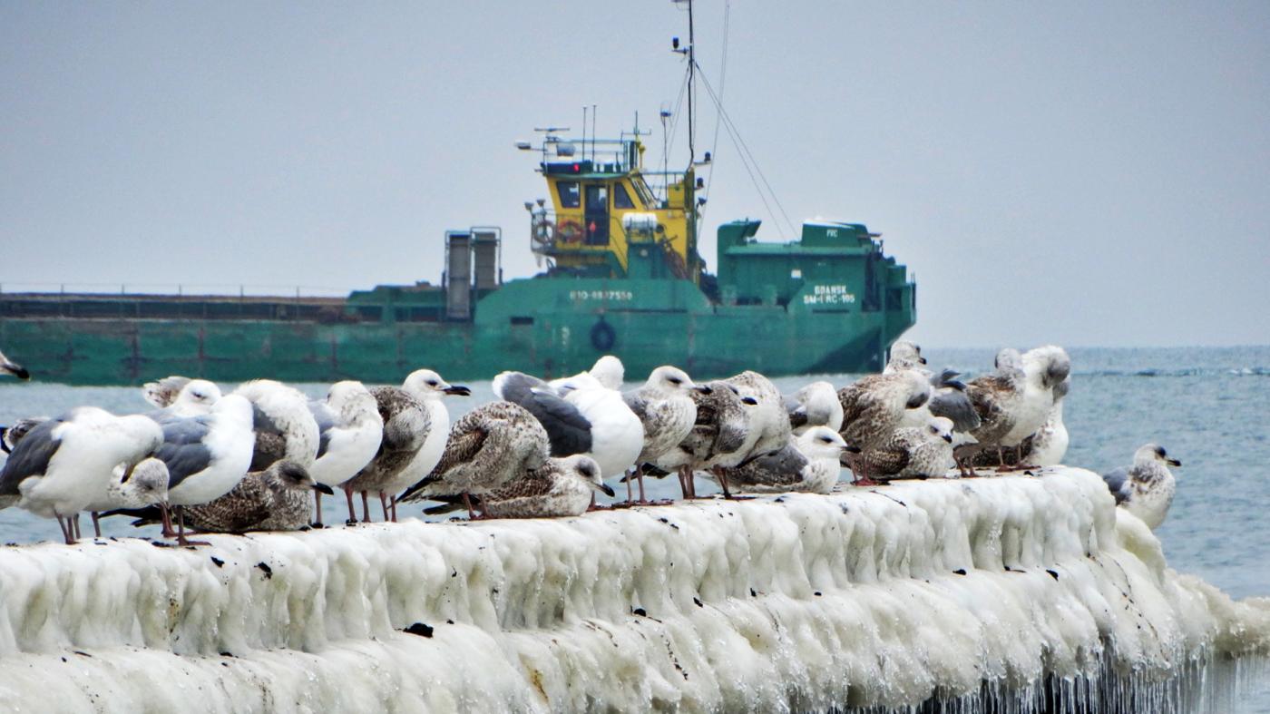 fot. Mariusz Jasłowski