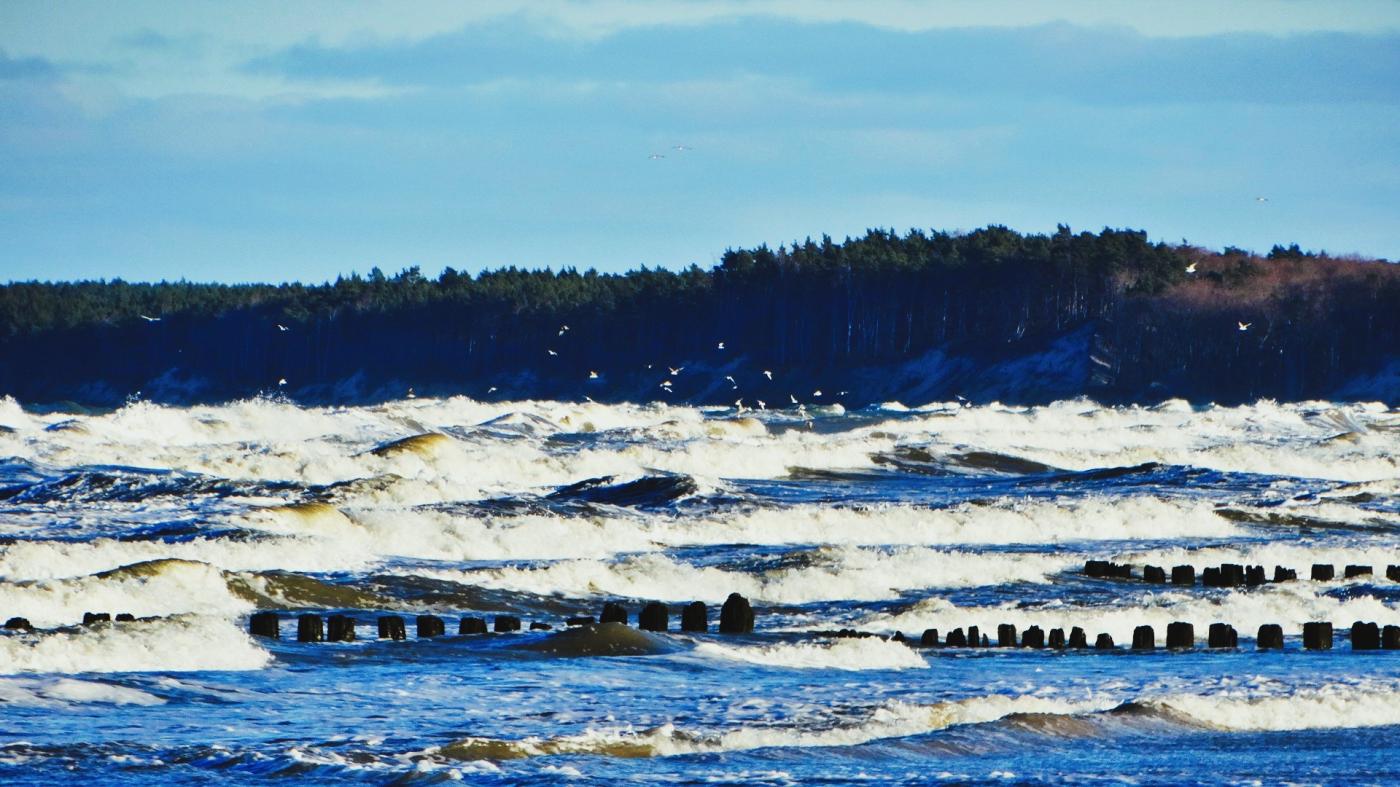 fot. Mariusz Jasłowski