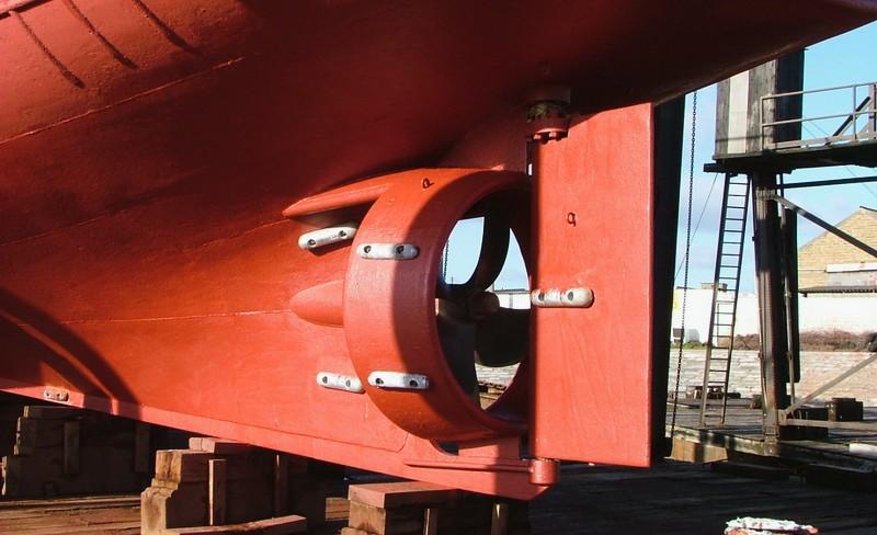 dysza Korta fot. Wikimedia Commons