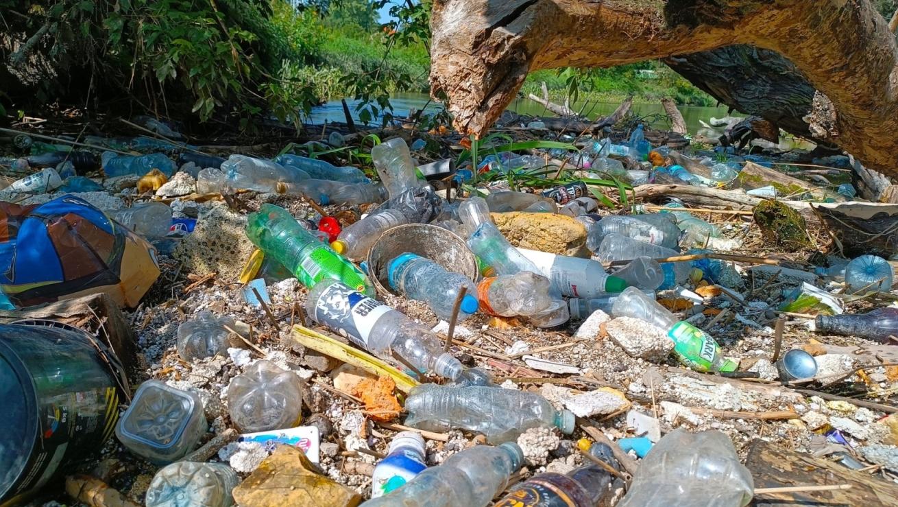 Finał Akcji Czysta Wisła odbędzie się w Mikoszewie / fot. Dominik Dobrowolski