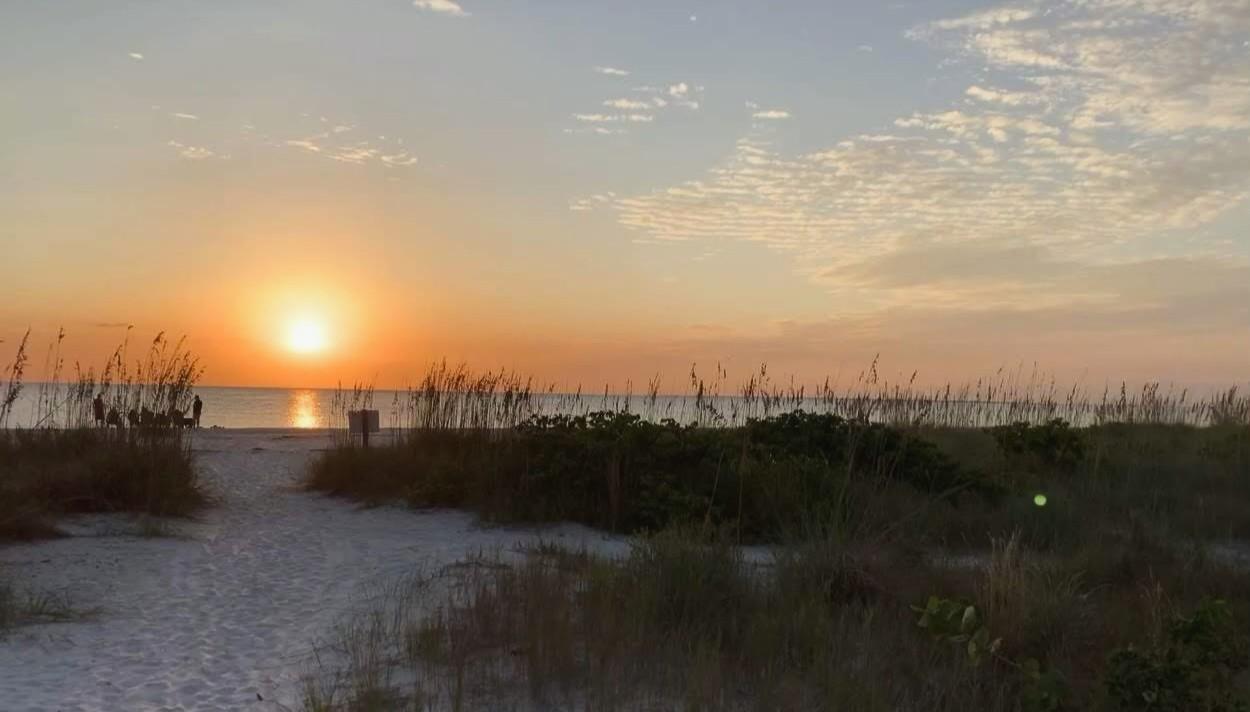 fot. Wikimedia Commons