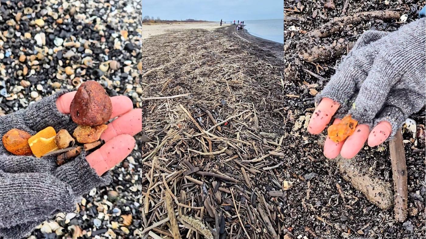 fot. Anna Klich / facebook.com/namierzeje/