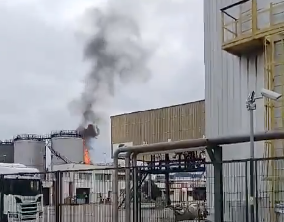 fot. kadr z filmu x.com/324cat