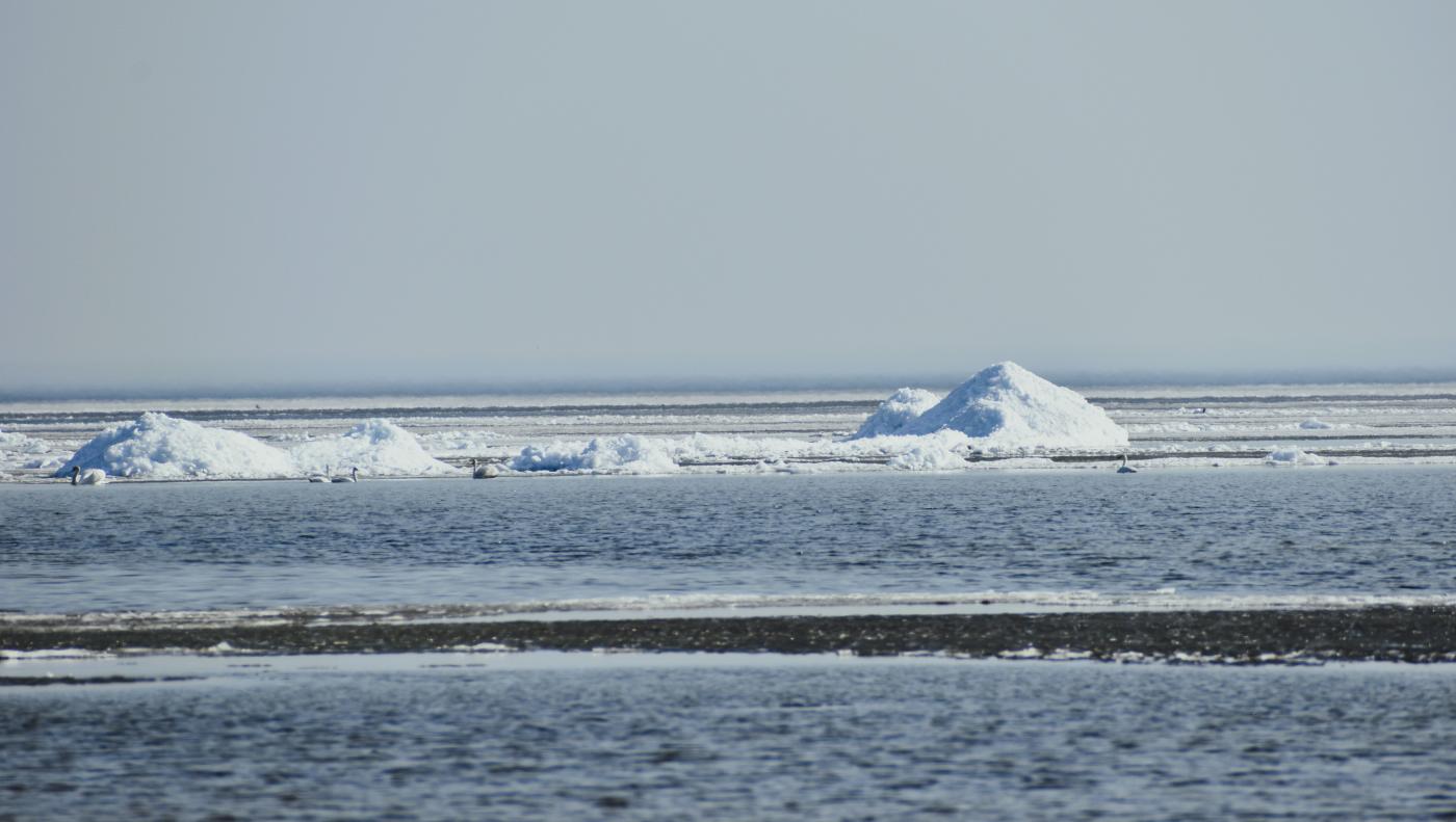 fot. Kamil Kusier / Gazeta Morska