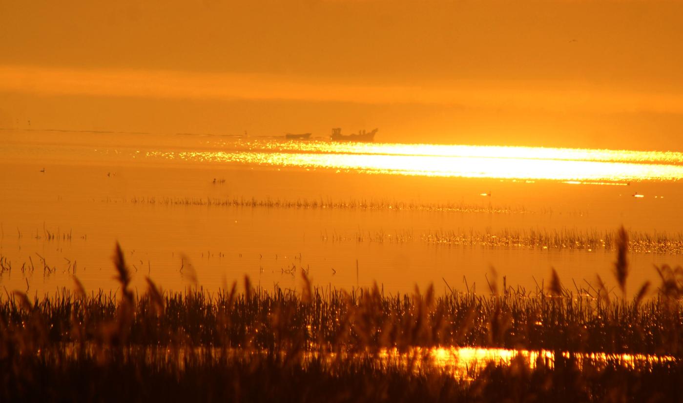 fot. Alan Szmyt / Wikimedia Commons