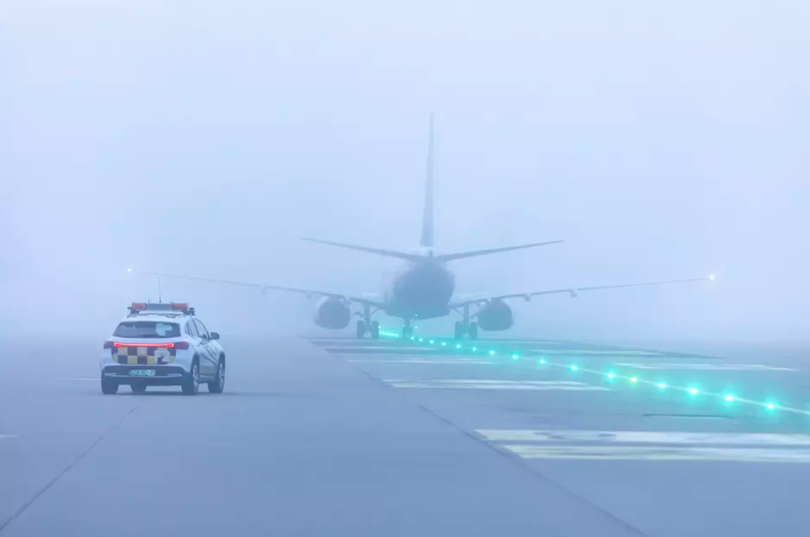 Fot. Piotr Wittman/www.gdansk.pl