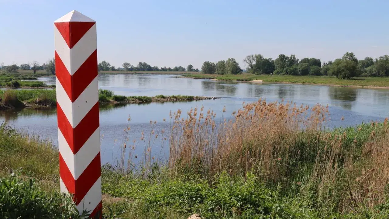 fot. Grzegorz Gołębiowski / Wikipedia Commons