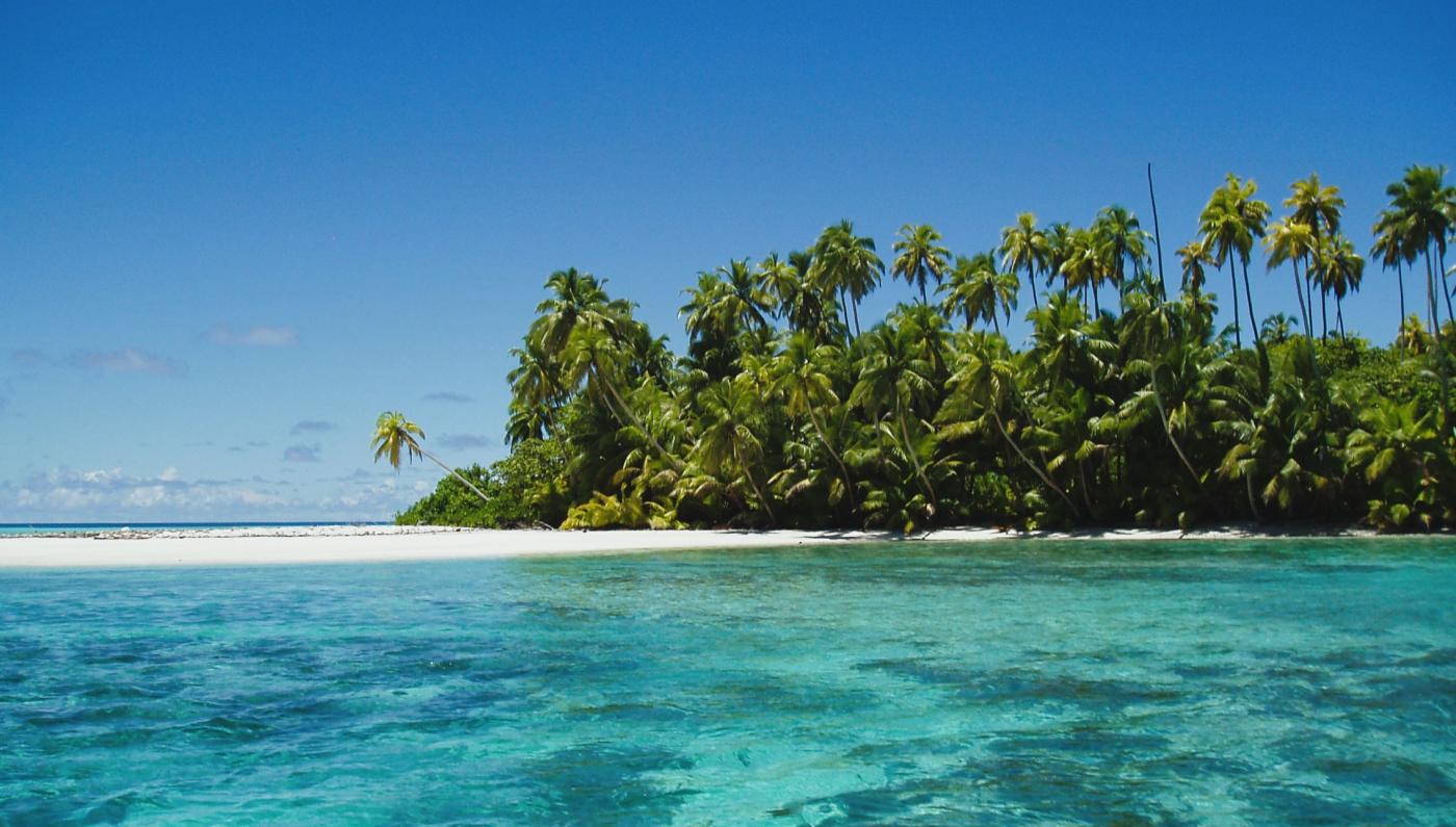 fot. Wikimedia Commons