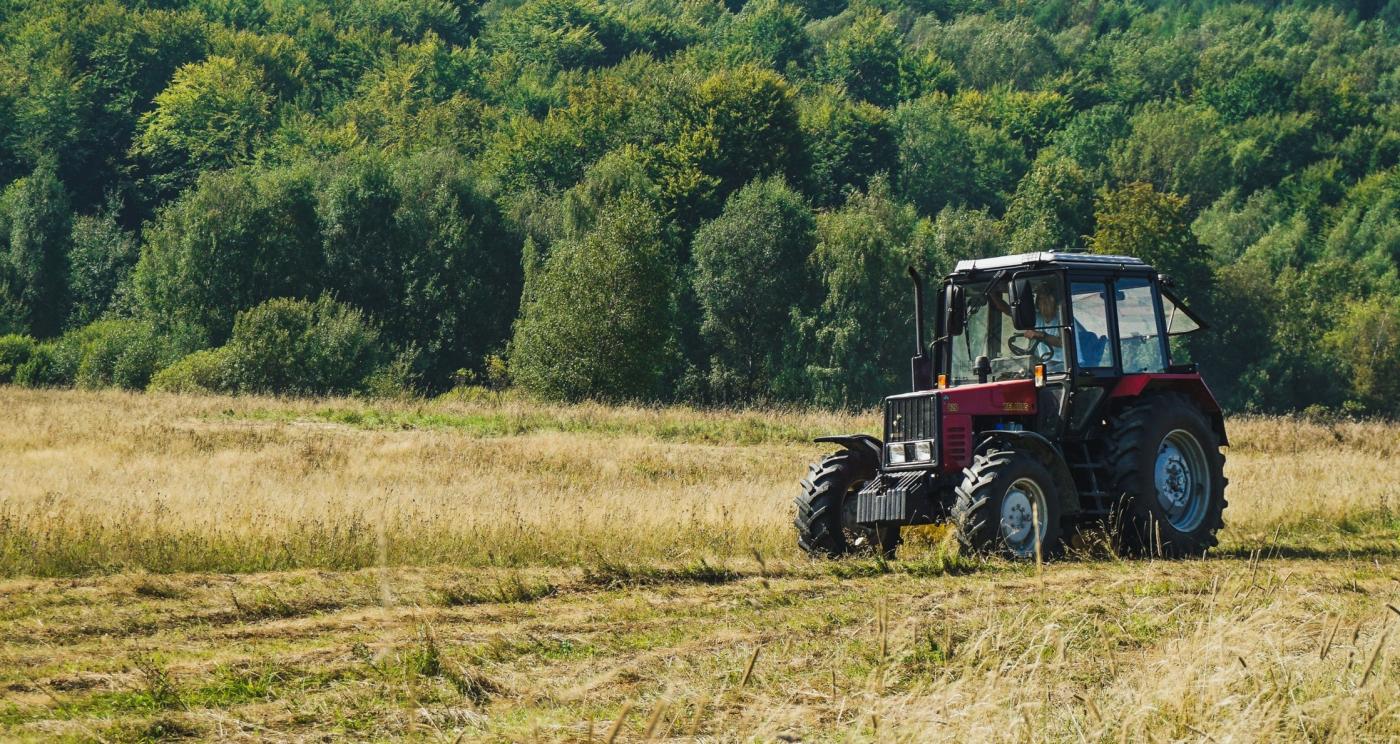 fot. summa / Pixabay