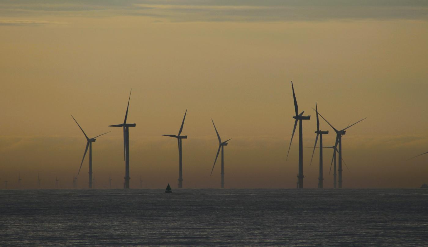 fot. sushmasterguest / pixabay