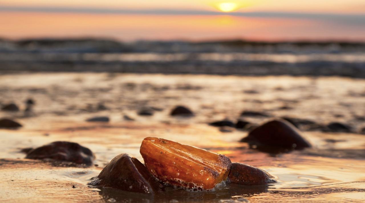 fot. Canva / Gazeta Morska